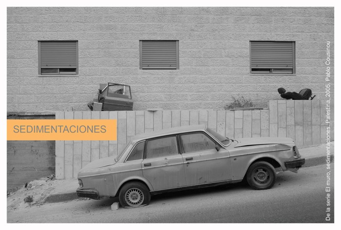 Sedimentaciones. Pablo Cousinou